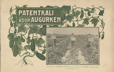 712814 Voorzijde van de brochure ‘Patenkali voor Augurken’, uitgegeven door het Landbouwkundig Bureau van het ...